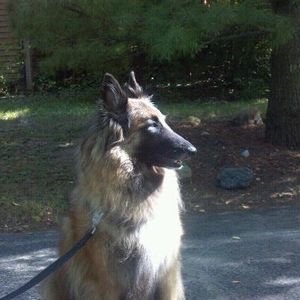 Meet your Posher, Diane